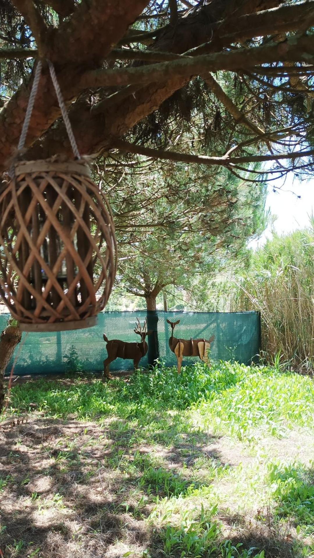 Kabaceira Glamping Hotel Atalaia  Værelse billede